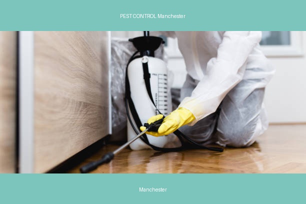 PEST CONTROL Manchester